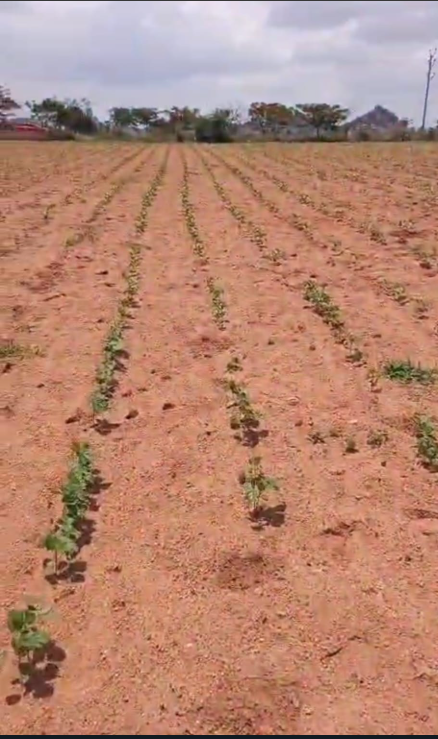 6 ACRES Agriculture Land For Sale