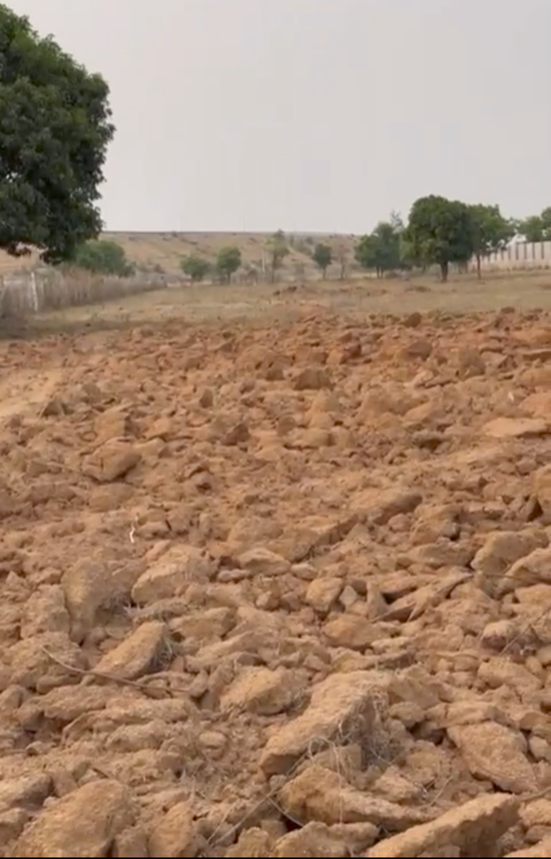 3 Acers Agriculture Land For Sale