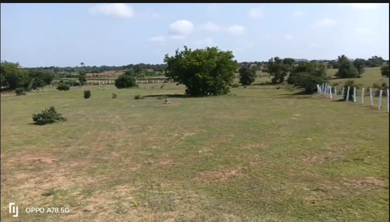 5 ACRES LAND FOR SALE