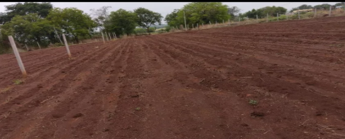 10 Gunta's Agriculture Land For Sale at Vikarabad