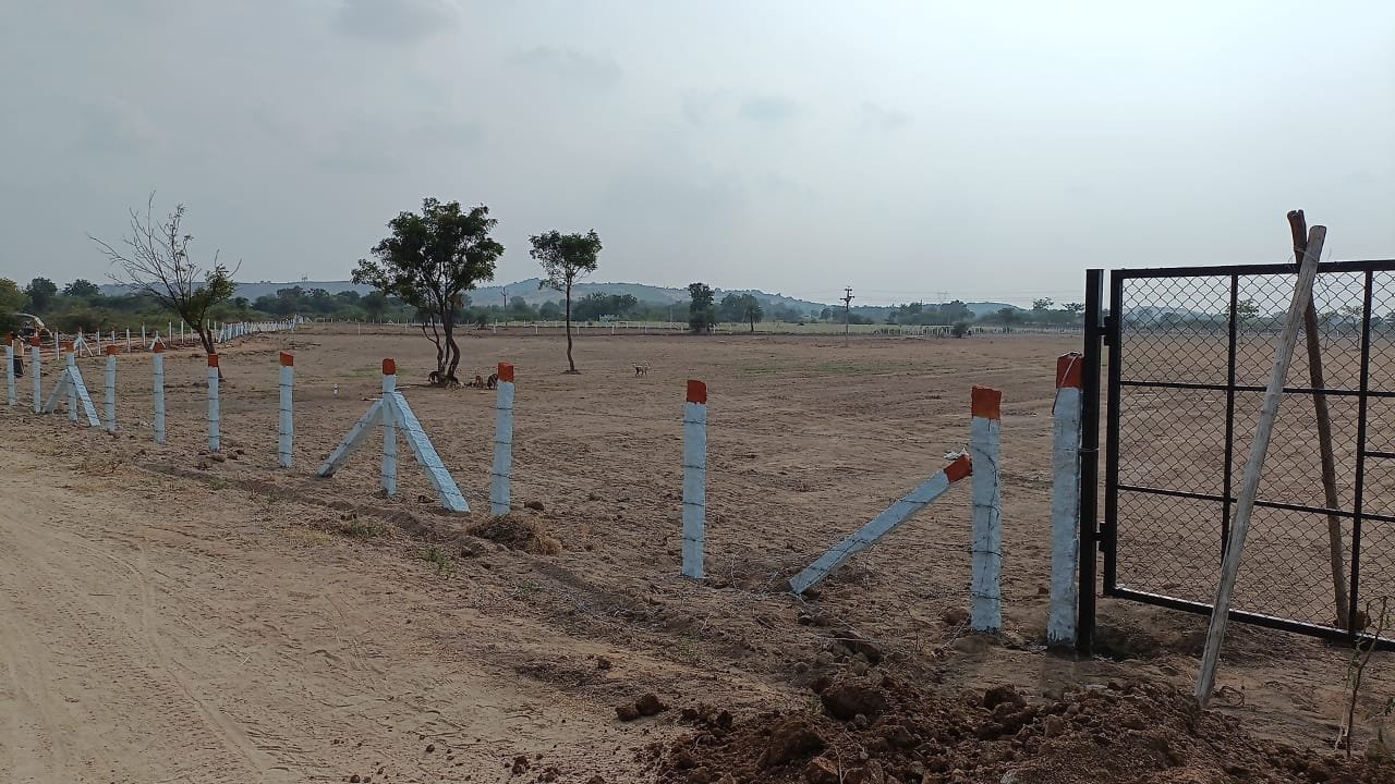 Agri Farm Land