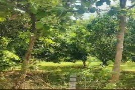 Agriculture
