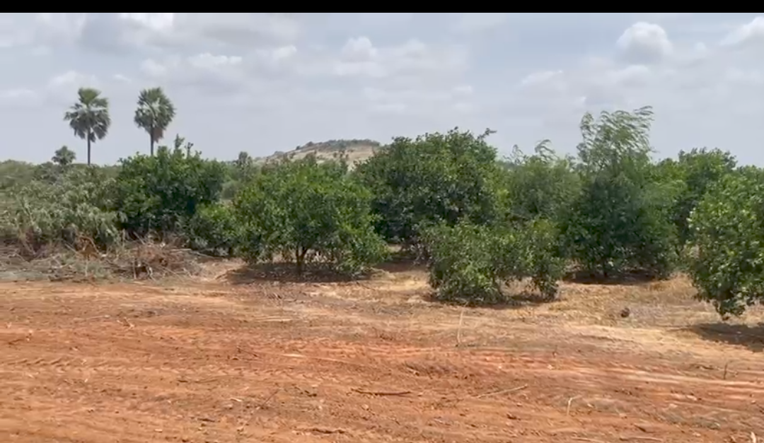 2 Acers Agriculture Land For Sale At Gudipalli