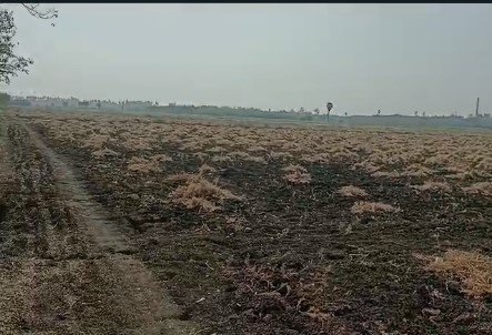 Agriculture Land For Sale at Kanchikacherla Hiwy 3Km Distance