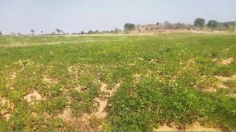 20 acers land for sale