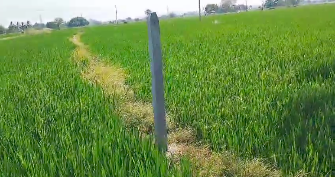 10 Acers Agriculture Land For Sale