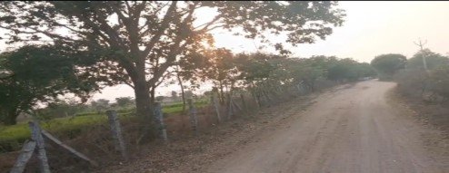 Farm Land With Guest House