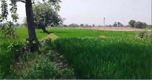 10 acers land for sale