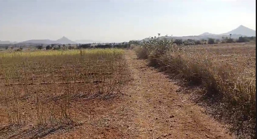 10 Acers Agriculture Land For Sale