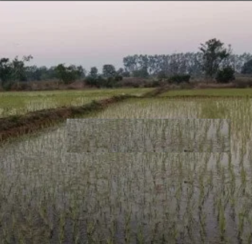 1acre Land with 1bore for Sale