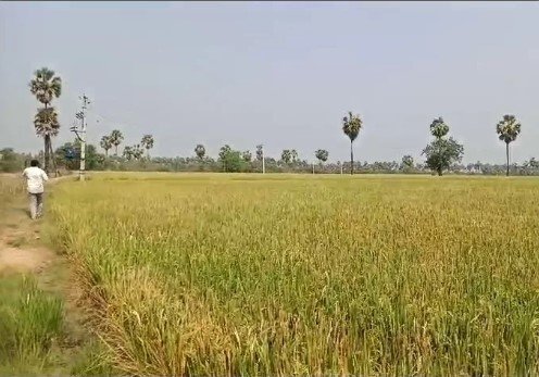10 Acers Agriculture Land  for sale at Siddipet