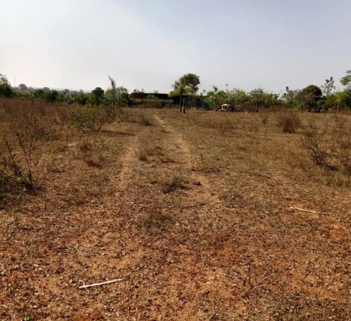 4Acer 20gunta Agriculture Land For Sale