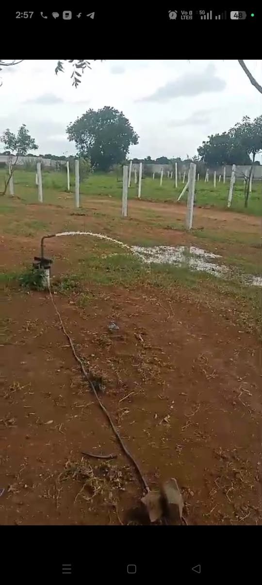 12 Guntas Land For Sale