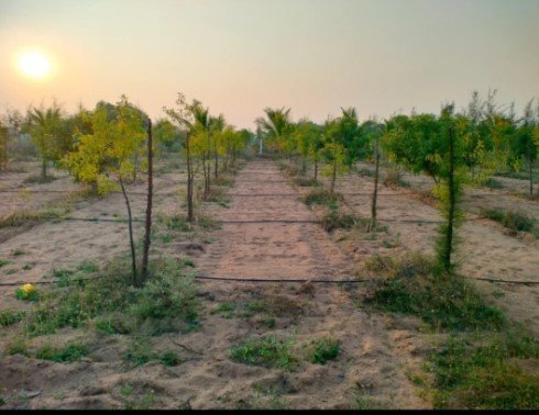 Farm Lands
