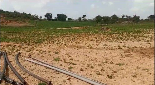 20 Acers Agriculture land for sale