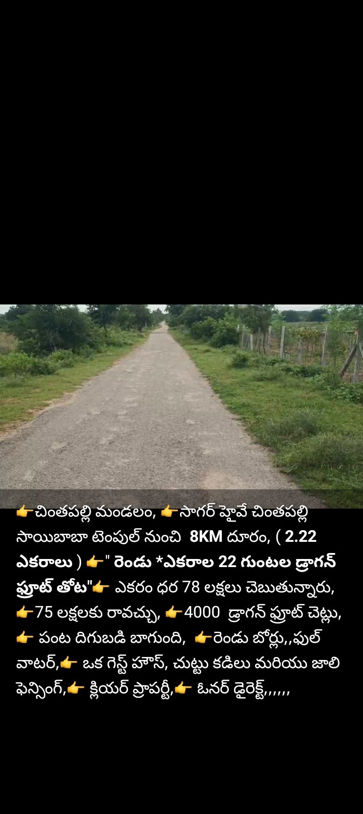 ల్యాండ్