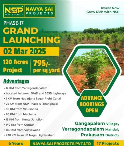 100 Acers RED SANDALWOOD PLANT  Plots For Sale