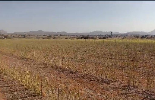 Agriculture Land For Sale Gooty to Ananthapuram Hiway 10 km