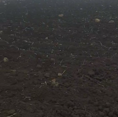 11 Acer Agricultur Land For Sale