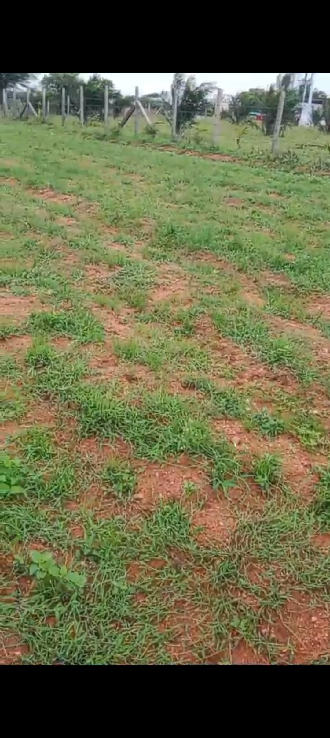 Agriculture land for sale.. urgent