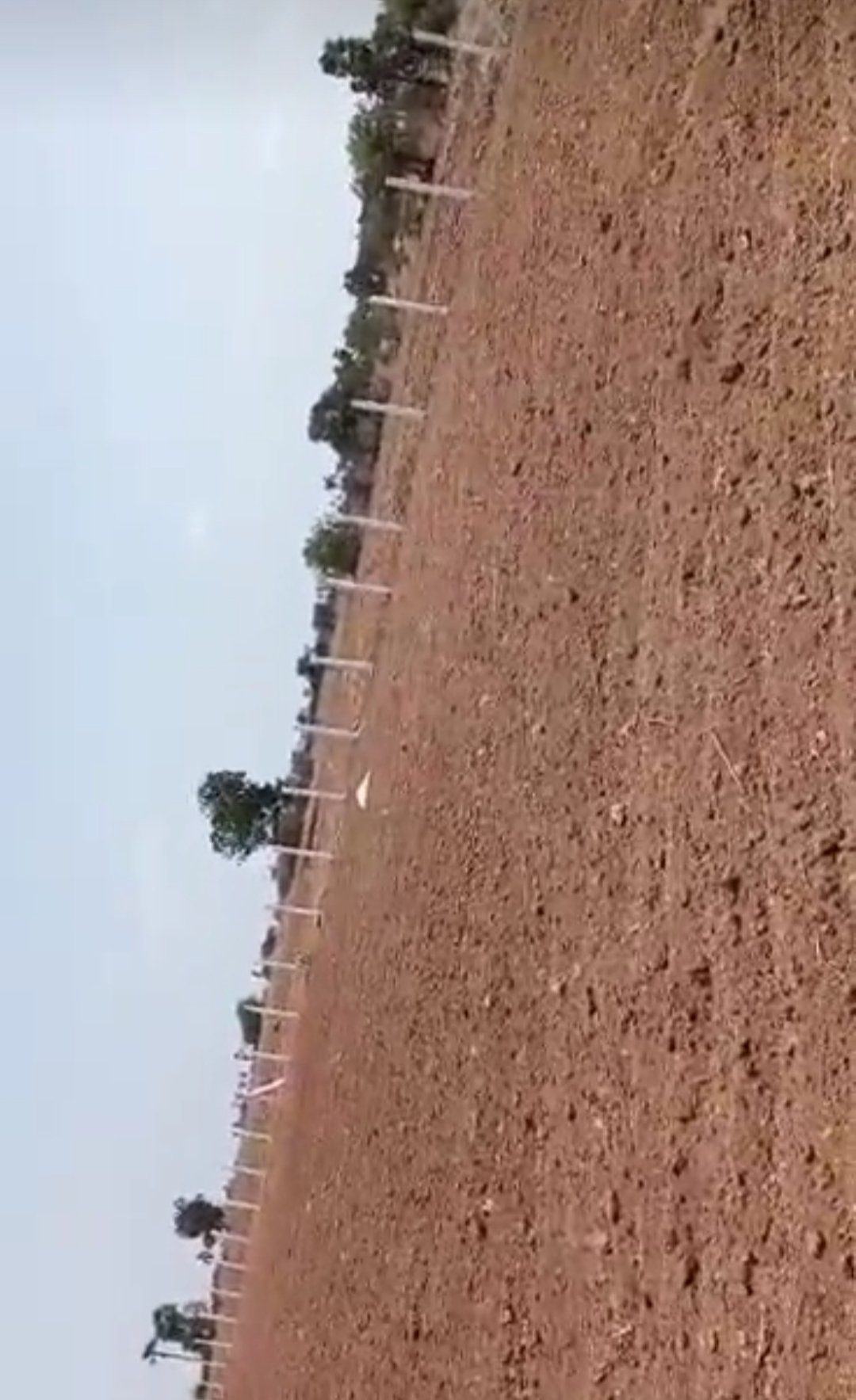 Agriculture land for sale
