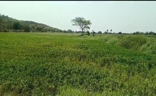 Agriculture Land For Sale at Vijayawada Hyderabad Hiway 5KM