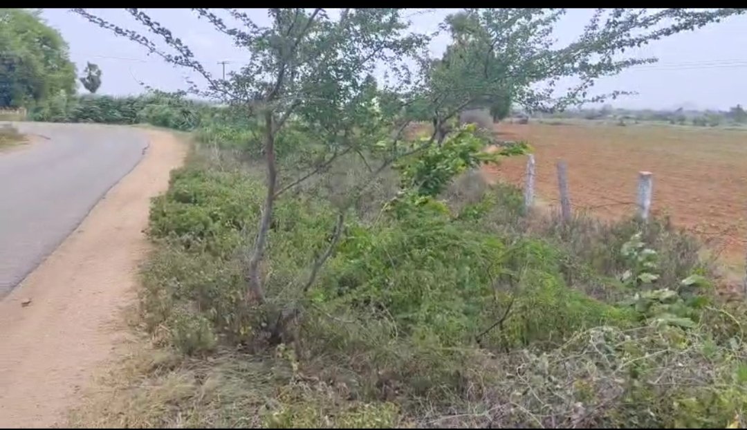 Land for sale near to Nagarjuna Sagar highway