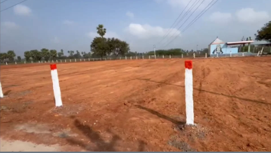 31 Guntas land at Nelapatla Village