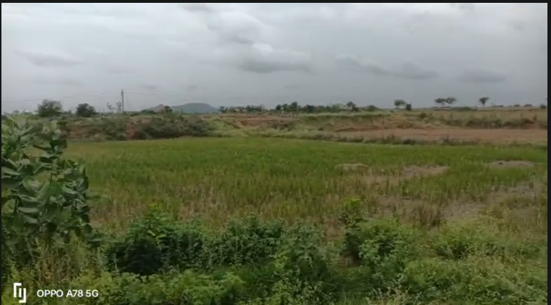 3 ACERES 13 GUNTAS LAND FOR SALE