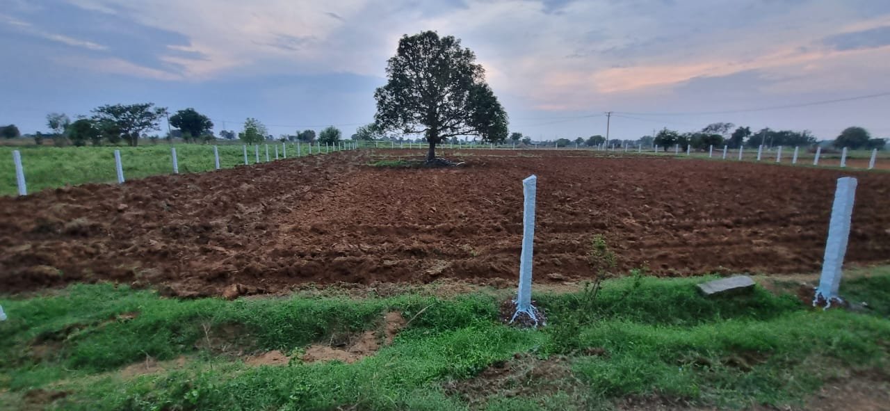 1  Acer Agriculture Land For Sale