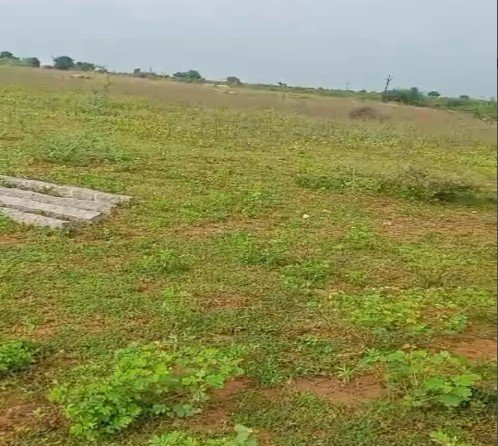 Farm Land Plots 3 Acres 20 Guntas sale Near By NH 44